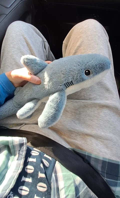 A person holding a stuffed animal in their hands.