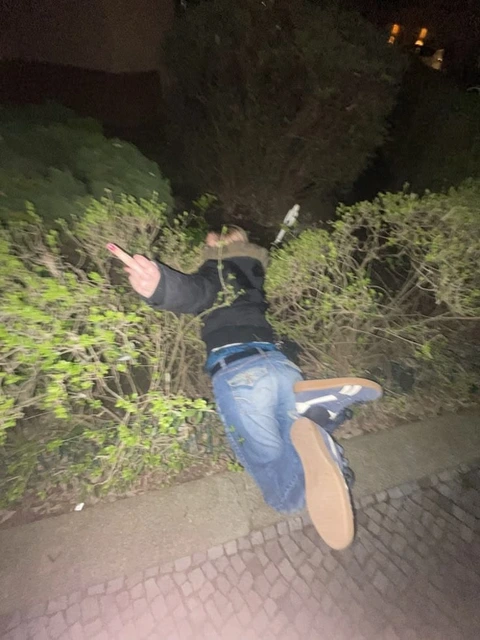 A person standing on top of a tree with their hands up.