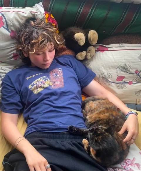 A young man laying on a couch with two cats.
