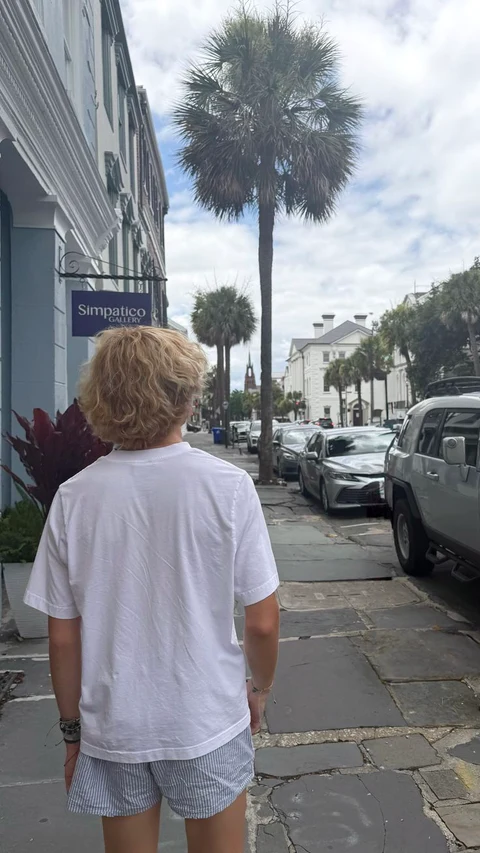 A man standing in front of a palm tree on a city street.