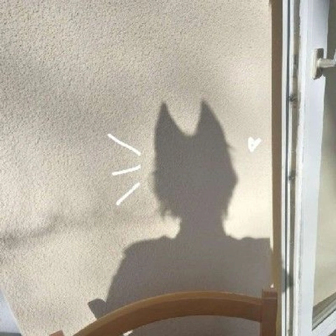 A cat is sitting in a chair in front of a window.