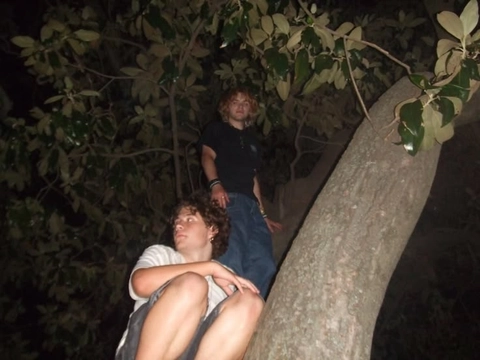 A group of people sitting on top of a tree.